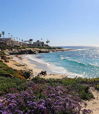 Addresses_0002_LaJolla_shutterstock_2446061855.jpg